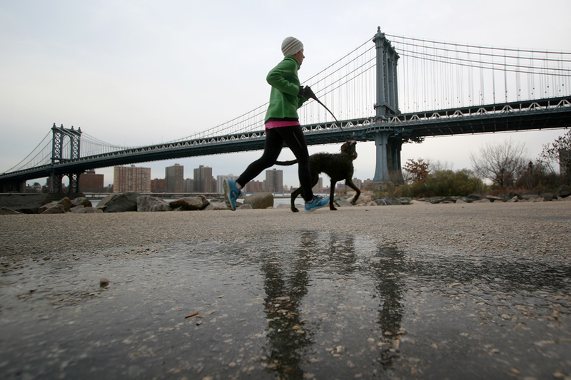Illustration for article titled NYC Vol.1. – Manhattan Bridge Walk